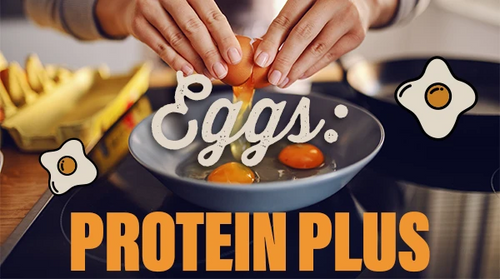 Eggs Protein Plus