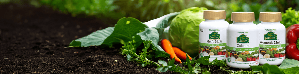 Source of Life Garden